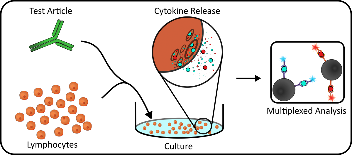 Cytokine Release Assay Xeno Diagnostics 5433