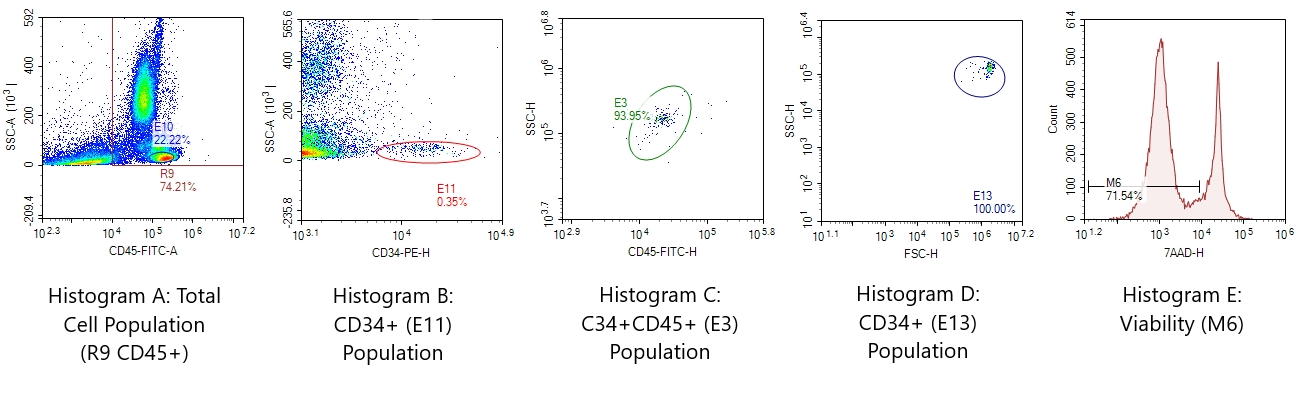 CD34 Flow Cytometry